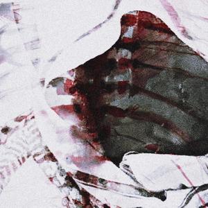 A BLOODY SYMPHONY. (Explicit)