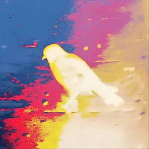 FLUX