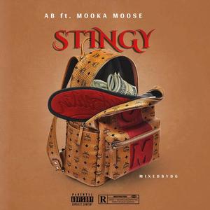 Stingy (feat. AB96) [Explicit]