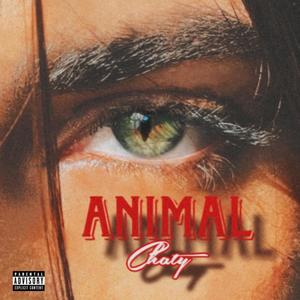 Animal (Explicit)