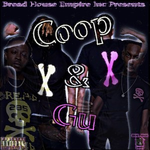 Coop & Gu (Explicit)