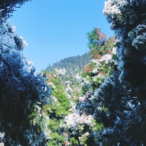 山谷里的爱情 (Live)