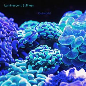 Luminescent Stillness