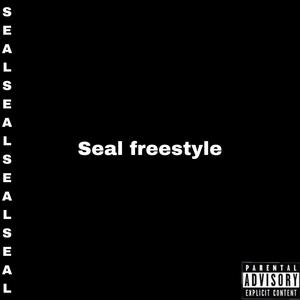 Seal freestyle (feat. SOSboogie) [Explicit]