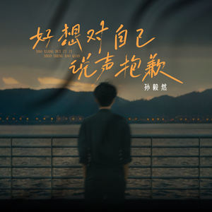 好想对自己说声抱歉 (Live合唱版伴奏)