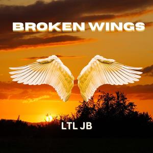 Broken Wings (Explicit)