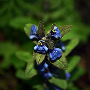 Mantra (Original Mix)