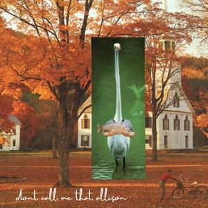 Don't Call Me That, Allison (feat. Dowrong)