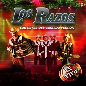 Olfateando El Animal