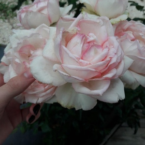 nuit (prod. yung skah)