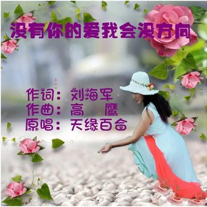 没有你的爱我会没方向