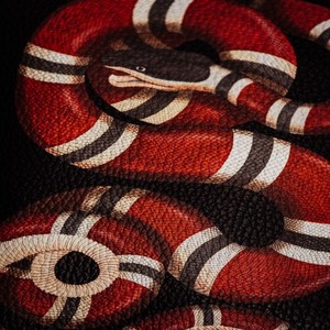 Snake (Explicit)