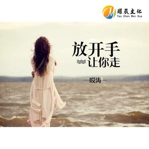 放开手让你走