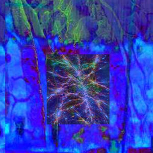 all of uuu! (Explicit)