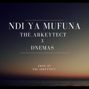 Ndi Ya Mufuna (feat. Dnemas)