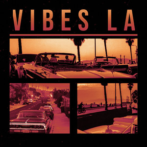 Vibes LA