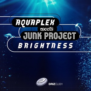 Brightness (DJ Sakin & Friends Mix)