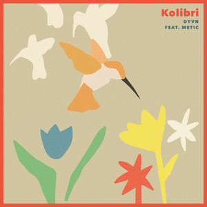 Kolibri