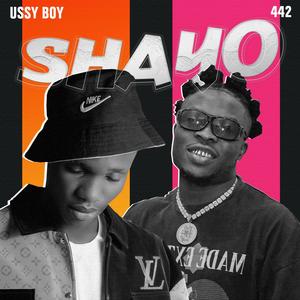 SHAYO Remix