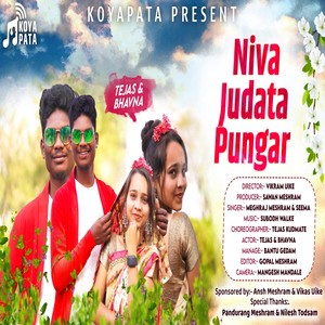 Niva Judata Pungar