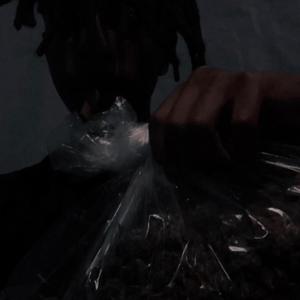 trap (Explicit)