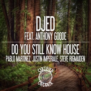 Do You Still Know House (Justin Imperiale Cabana Remix)
