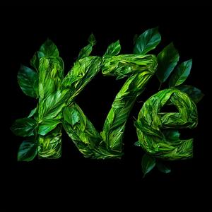 Srebrenica (feat. Echaarpe)