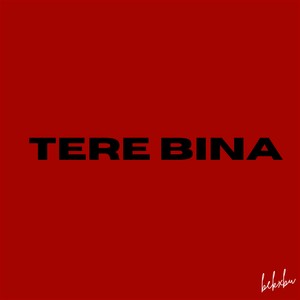 Tere Bina (Explicit)
