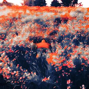 L0VE? (feat. arsenicc) (Explicit)
