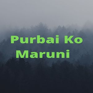 Purbai Ko Maruni