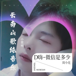 D嗨-微信是多少