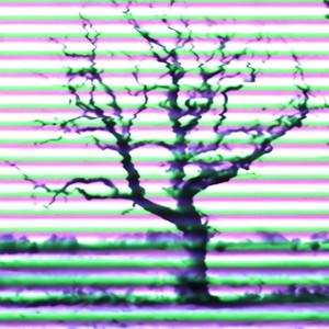 Drive or Die(feat. DEAD INTERNALLY) (Explicit)