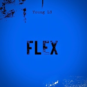 FLEX