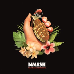 Friendly Skies (feat. Torn Hawk) (Explicit)
