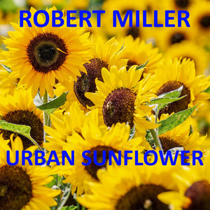 Urban Sunflower