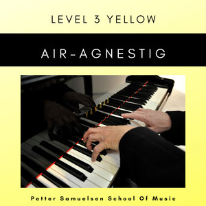 Air (Level 3 Yellow)