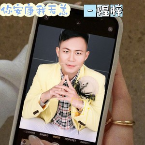 你安康我无恙 (DJ佐罗)