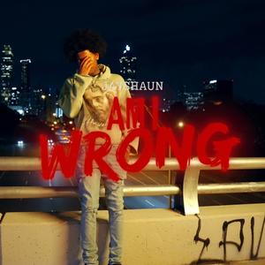 Am I Wrong (Explicit)