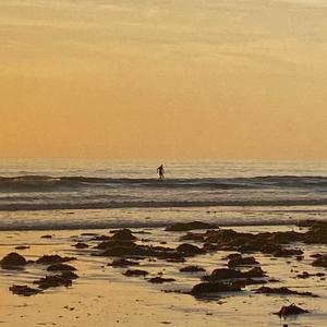 Southern Swell