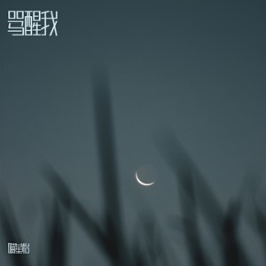 骂醒我（Babe 能不能抓住我）-喵星怡