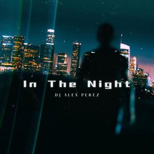 In the Night (Dj Alex Perez) [Explicit]