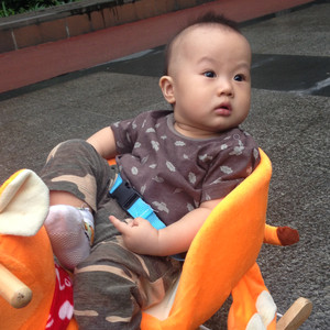 太阳花和默默草