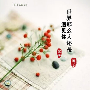 世界那么大还是遇见你 (DJ版)