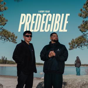 Predecible