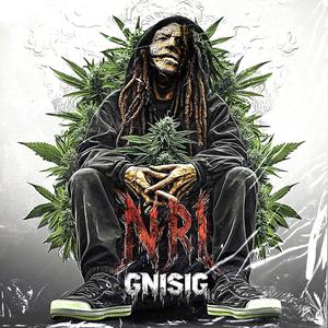 GNISIG (Explicit)