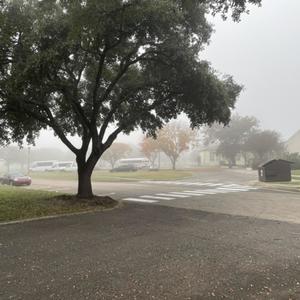 its like u never cared