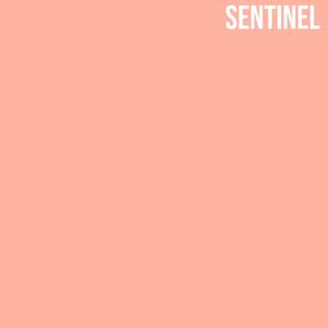 SENTINEL