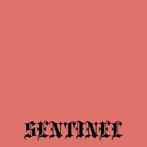 SENTINEL