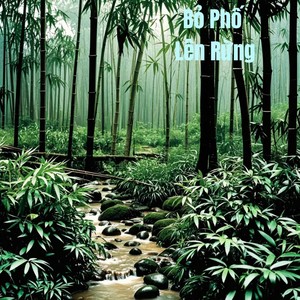 Bỏ Phố Lên Rừng (Remastered 2024)