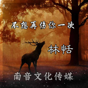 不想再伤你一次